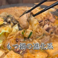 画像528